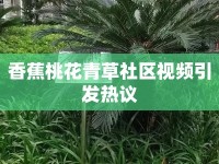 香蕉桃花青草社區(qū)視頻引發(fā)熱議