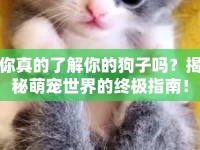 你真的了解你的狗子嗎？揭秘萌寵世界的終極指南！