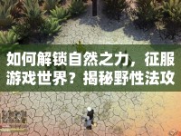 如何解鎖自然之力，征服游戲世界？揭秘野性法攻略！