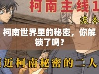 柯南世界里的秘密，你解鎖了嗎？