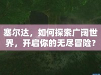 塞爾達(dá)，如何探索廣闊世界，開啟你的無盡冒險？