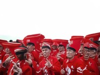 尋仙手游，如何玩轉(zhuǎn)抽寵系統(tǒng)，打造最強(qiáng)寵物陣容？