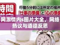 網(wǎng)激情內(nèi)s圖片大全，網(wǎng)絡(luò)熱議與道德反思