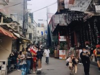 倩女幽魂手游如何掛機效率翻倍？這些自動攻擊技巧你掌握了嗎？