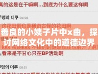 善良的小姨子片中x曲，探討網(wǎng)絡(luò)文化中的道德邊界與審美