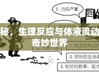 揭秘，生理反應(yīng)與體液流動(dòng)的奇妙世界