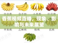 香蕉視頻直播，現(xiàn)象、影響與未來展望