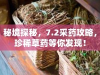 秘境探秘，7.2采藥攻略，珍稀草藥等你發(fā)現(xiàn)！