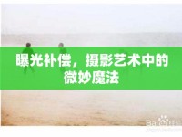 曝光補(bǔ)償，攝影藝術(shù)中的微妙魔法