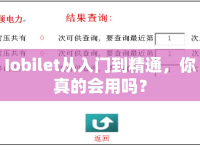 Iobilet從入門到精通，你真的會(huì)用嗎？