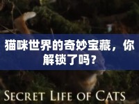 貓咪世界的奇妙寶藏，你解鎖了嗎？