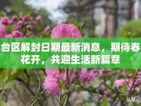 九臺(tái)區(qū)解封日期最新消息，期待春暖花開，共迎生活新篇章