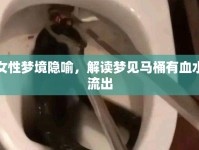 女性夢(mèng)境隱喻，解讀夢(mèng)見馬桶有血水流出