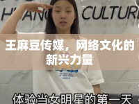 王麻豆傳媒，網(wǎng)絡(luò)文化的新興力量
