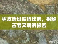 樹皮遺址探險攻略，揭秘古老文明的秘密