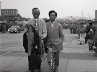 丁香五月區(qū)，為何成為城市中最具活力與魅力的角落？