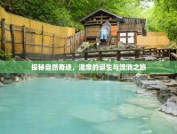 探秘自然奇跡，溫泉的誕生與流淌之旅