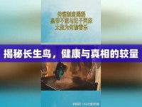 揭秘長生鳥，健康與真相的較量