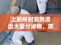 上廁所時(shí)突然流出大量分泌物，原因解析、應(yīng)對(duì)策略與預(yù)防措施