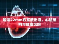 解讀22mm右室流出道，心臟結(jié)構(gòu)與健康風(fēng)險