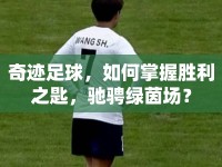 奇跡足球，如何掌握勝利之匙，馳騁綠茵場(chǎng)？