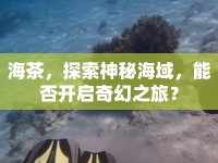 海茶，探索神秘海域，能否開啟奇幻之旅？