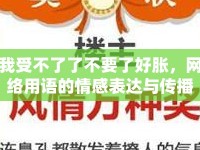 我受不了了不要了好脹，網(wǎng)絡(luò)用語的情感表達與傳播