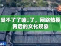 受不了了噴氺了，網(wǎng)絡(luò)熱梗背后的文化現(xiàn)象