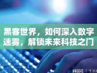 黑客世界，如何深入數(shù)字迷霧，解鎖未來科技之門？