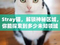 Stray貓，解鎖神秘區(qū)域，你能探索到多少未知領(lǐng)域？