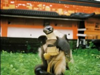 神武手游，龍蝦騎士染色，個(gè)性時(shí)尚如何碰撞出火花？