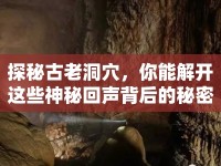 探秘古老洞穴，你能解開這些神秘回聲背后的秘密嗎？