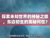 探索未知世界的神秘之旅，東邊初生的奧秘何在？
