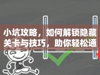 小坑攻略，如何解鎖隱藏關(guān)卡與技巧，助你輕松通關(guān)？