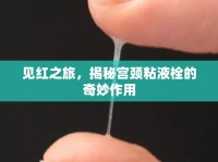 見紅之旅，揭秘宮頸粘液栓的奇妙作用