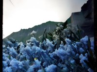 神武2手游，智慧風(fēng)暴如何重塑游戲格局？