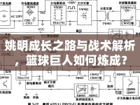 姚明成長之路與戰(zhàn)術(shù)解析，籃球巨人如何煉成？