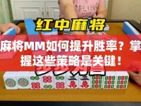 麻將MM如何提升勝率？掌握這些策略是關(guān)鍵！