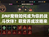 DNF寵物如何成為你的戰(zhàn)斗伙伴？萌寵養(yǎng)成攻略來(lái)襲！