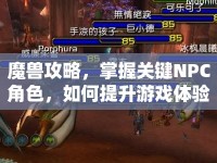魔獸攻略，掌握關(guān)鍵NPC角色，如何提升游戲體驗(yàn)？