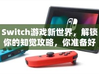 Switch游戲新世界，解鎖你的知覺攻略，你準(zhǔn)備好了嗎？