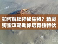 如何解鎖神秘生物？精靈孵蛋攻略助你培育獨(dú)特伙伴！
