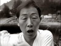 夢幻手游平民后期龍宮如何逆襲？策略與成長之路揭秘！