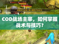 COD戰(zhàn)場(chǎng)主宰，如何掌握戰(zhàn)術(shù)與技巧？