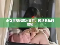 小女生視頻流出事件，網(wǎng)絡(luò)隱私的警鐘