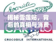 揭秘雪蓮貼，背后的真相與消費(fèi)者警示