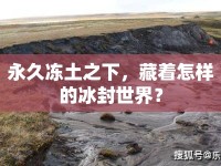 永久凍土之下，藏著怎樣的冰封世界？