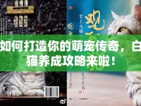 如何打造你的萌寵傳奇，白貓養(yǎng)成攻略來啦！