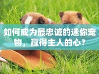 如何成為最忠誠的迷你寵物，贏得主人的心？