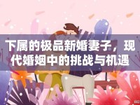 下屬的極品新婚妻子，現(xiàn)代婚姻中的挑戰(zhàn)與機(jī)遇